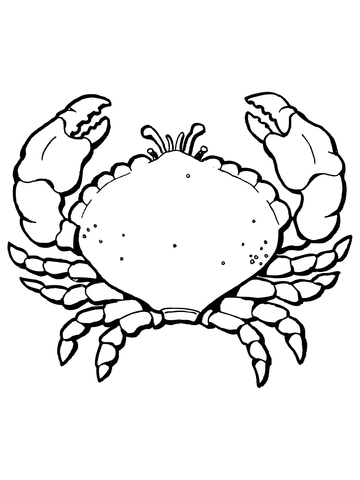 Crab With Big Claws Coloring Page